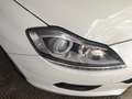 Lancia Delta Delta III 20081.4 tjt Gold ecochic Gpl 120cv my14 Bianco - thumbnail 10