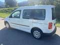 Volkswagen Caddy Caddy Kastenwagen Blue Motion 1,9 TDI DPF Weiß - thumbnail 8