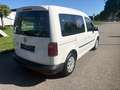 Volkswagen Caddy Caddy Kastenwagen Blue Motion 1,9 TDI DPF Weiß - thumbnail 4