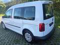 Volkswagen Caddy Caddy Kastenwagen Blue Motion 1,9 TDI DPF Weiß - thumbnail 21