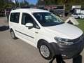 Volkswagen Caddy Caddy Kastenwagen Blue Motion 1,9 TDI DPF Weiß - thumbnail 5