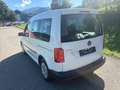 Volkswagen Caddy Caddy Kastenwagen Blue Motion 1,9 TDI DPF Weiß - thumbnail 7