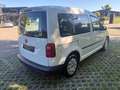 Volkswagen Caddy Caddy Kastenwagen Blue Motion 1,9 TDI DPF Weiß - thumbnail 15