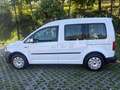 Volkswagen Caddy Caddy Kastenwagen Blue Motion 1,9 TDI DPF Weiß - thumbnail 20