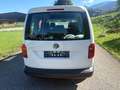 Volkswagen Caddy Caddy Kastenwagen Blue Motion 1,9 TDI DPF Weiß - thumbnail 6