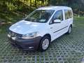 Volkswagen Caddy Caddy Kastenwagen Blue Motion 1,9 TDI DPF Weiß - thumbnail 19