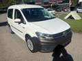 Volkswagen Caddy Caddy Kastenwagen Blue Motion 1,9 TDI DPF Weiß - thumbnail 3