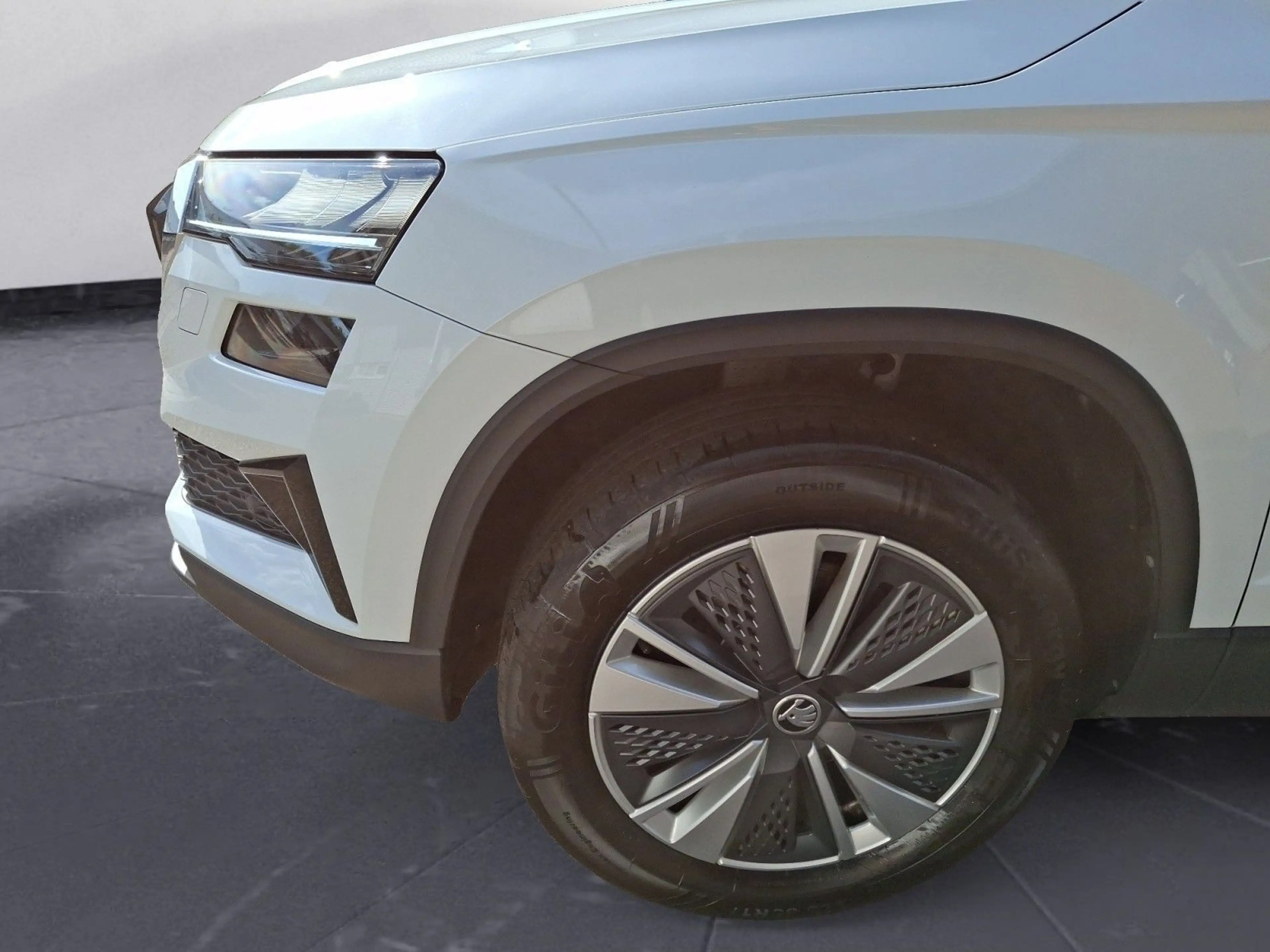 Skoda Karoq 2.0 TDI DSG Selection Tour AHK ACCTravelAs — photo 7