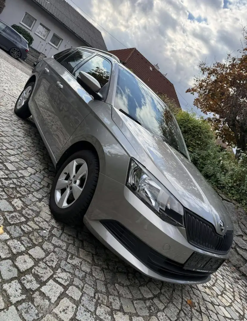 Skoda Fabia 1.0 MPI 75 ch Greentec Drive Grau - 1