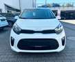 Kia Picanto Edition 7 GARANTIE/1HALTER/SHZ Blanc - thumbnail 2