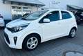 Kia Picanto Edition 7 GARANTIE/1HALTER/SHZ Blanc - thumbnail 1