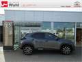 Toyota Yaris Cross 1.5 Hybrid Teamplayer Grau - thumbnail 21