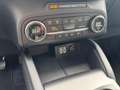 Ford Kuga Plug-In Hybrid Titanium2.5 Duratec-PHEVEU6d Silber - thumbnail 20