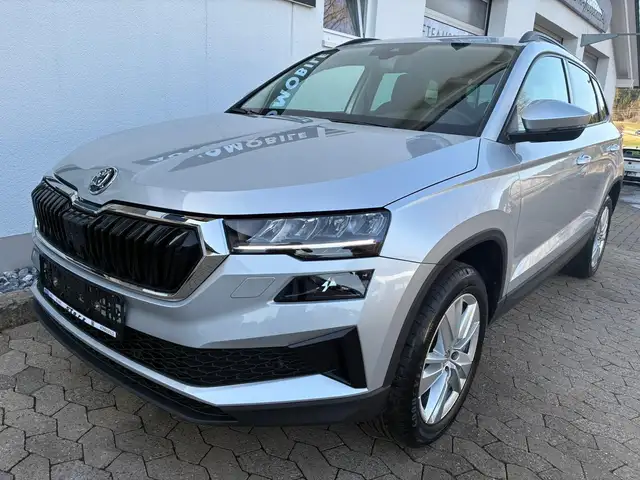 Skoda Karoq view 2