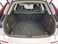 Volvo XC60 XC60 B5 B AWD Plus Dark Pano*Business Weiß - thumbnail 8