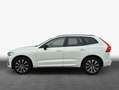 Volvo XC60 XC60 B5 B AWD Plus Dark Pano*Business Weiß - thumbnail 4