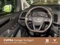 SEAT Alhambra FR-Line 2.0 TDI DSG 130 kW Rot - thumbnail 10