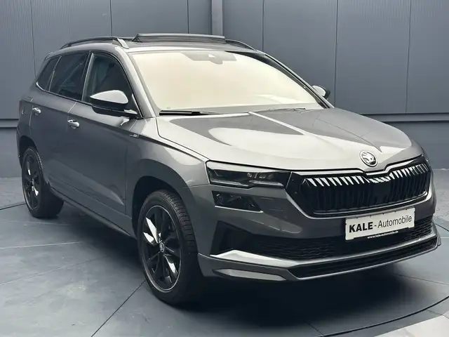 Skoda Karoq view 7