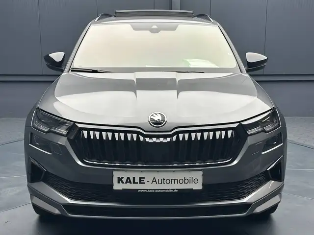 Skoda Karoq view 8