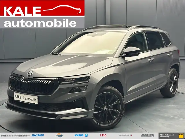 2023 Skoda Karoq in Grey for sale