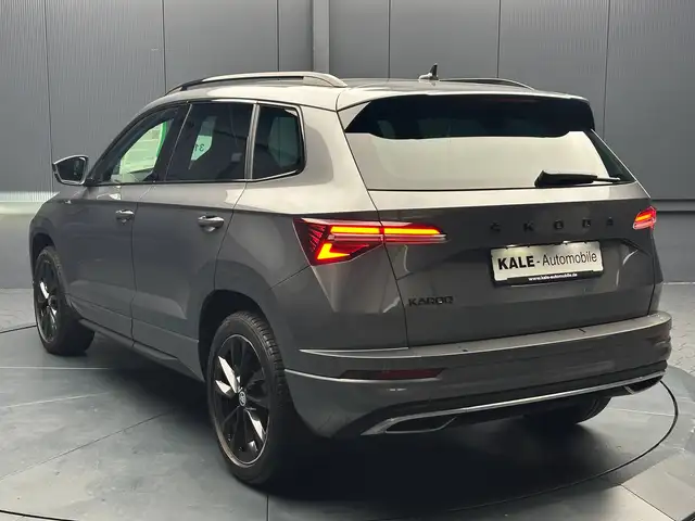 Skoda Karoq view 3