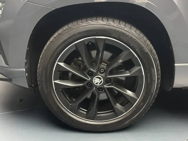 Skoda Karoq view 9