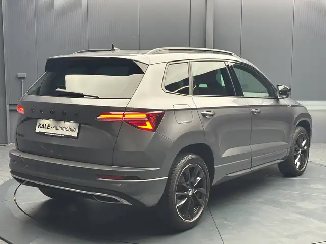 Skoda Karoq view 5