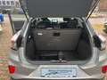 Ford Puma Titanium Automatik 1.0i AHK, ACC, uvm Argent - thumbnail 12