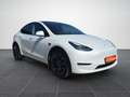 Tesla Model Y Performance Max Reichw. AWD Auto.P GARANTIE Weiß - thumbnail 3