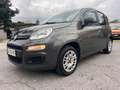 Fiat Panda Panda 1.2 Gpl 69cv Grau - thumbnail 1
