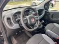Fiat Panda Panda 1.2 Gpl 69cv Grau - thumbnail 4