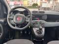 Fiat Panda Panda 1.2 Gpl 69cv Grau - thumbnail 8