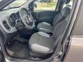 Fiat Panda Panda 1.2 Gpl 69cv Grau - thumbnail 3
