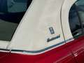 Lincoln Continental Vinyl Dach kein Cabriolet V8 Rouge - thumbnail 13