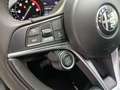 Alfa Romeo Stelvio 2.2 Executive Q4 210 Aut. Gris - thumbnail 17