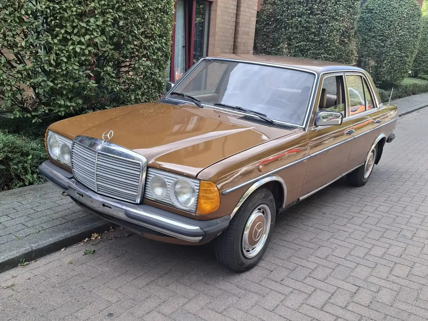 Mercedes-Benz 200 200 D Maro - 1