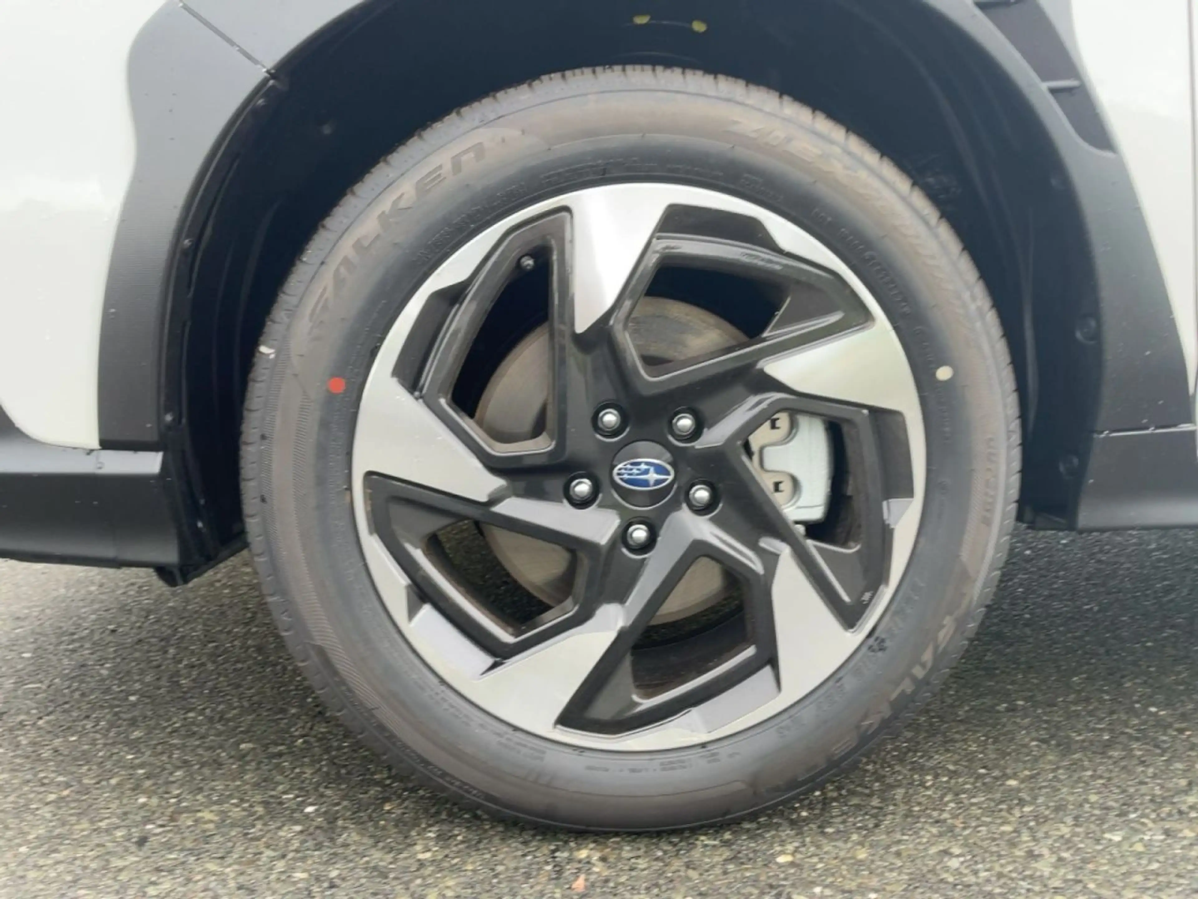 Subaru Crosstrek EDIT. Comfort Plus — photo 6