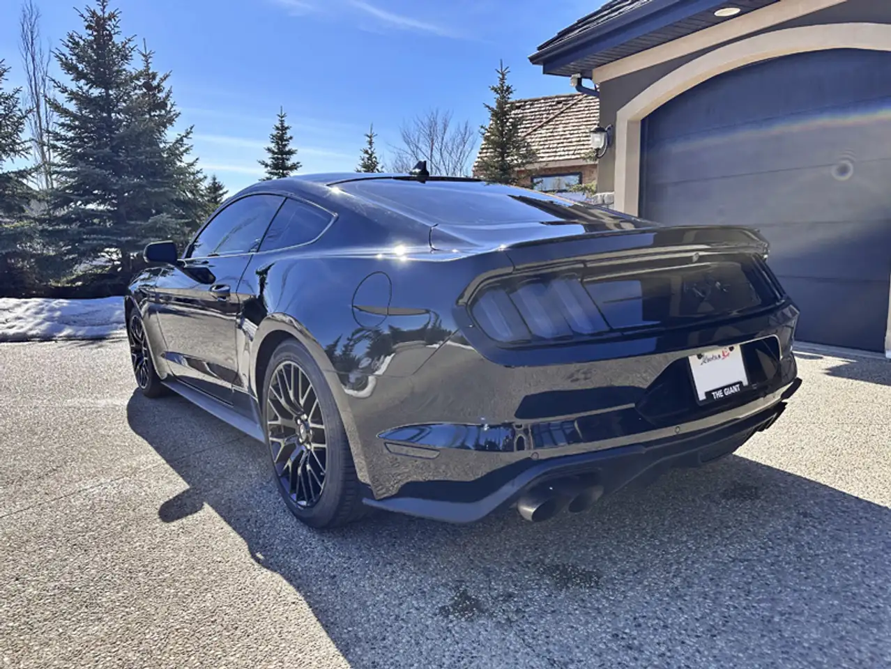 Ford Mustang снимка Ford Mustang