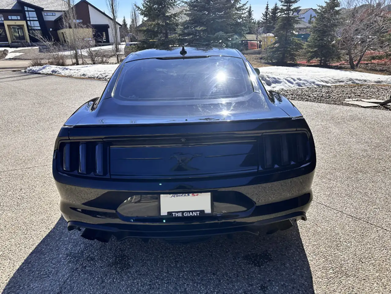 Ford Mustang снимка Ford Mustang