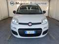 Fiat Panda 1.2 Easy 5 POSTI *EURO 6* Bianco - thumbnail 1