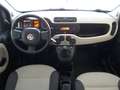 Fiat Panda 1.2 Easy 5 POSTI *EURO 6* Blanc - thumbnail 8