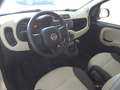 Fiat Panda 1.2 Easy 5 POSTI *EURO 6* Blanc - thumbnail 6