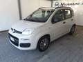 Fiat Panda 1.2 Easy 5 POSTI *EURO 6* Bianco - thumbnail 3
