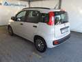 Fiat Panda 1.2 Easy 5 POSTI *EURO 6* Blanc - thumbnail 10