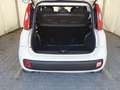 Fiat Panda 1.2 Easy 5 POSTI *EURO 6* Blanc - thumbnail 13