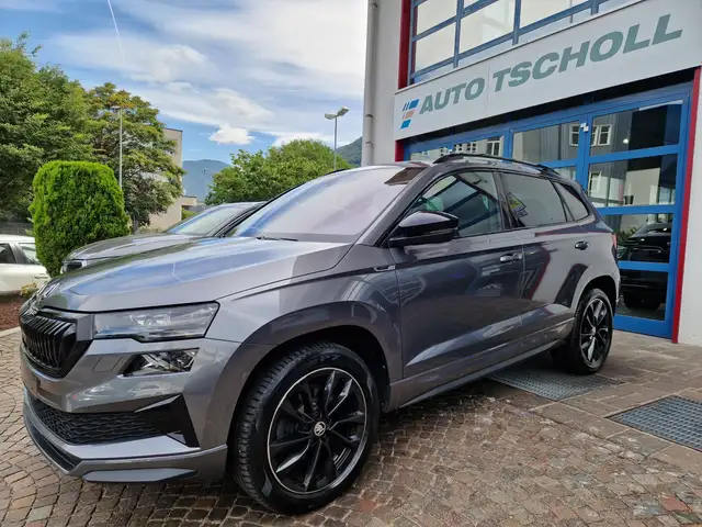 Skoda Karoq main image