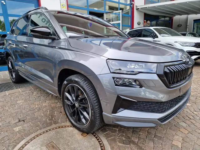 Skoda Karoq view 2
