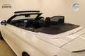 Mercedes-Benz C 63 AMG 476PS Cabrio Burmester Memory PAGA Weiß - thumbnail 10