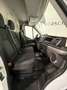 Ford Transit Transit Kasten 2,0 EcoBlue L3H2 310 Trend Weiß - thumbnail 9