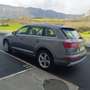 Audi Q7 3.0TDI e-tron design quattro Tiptronic Gris - thumbnail 19